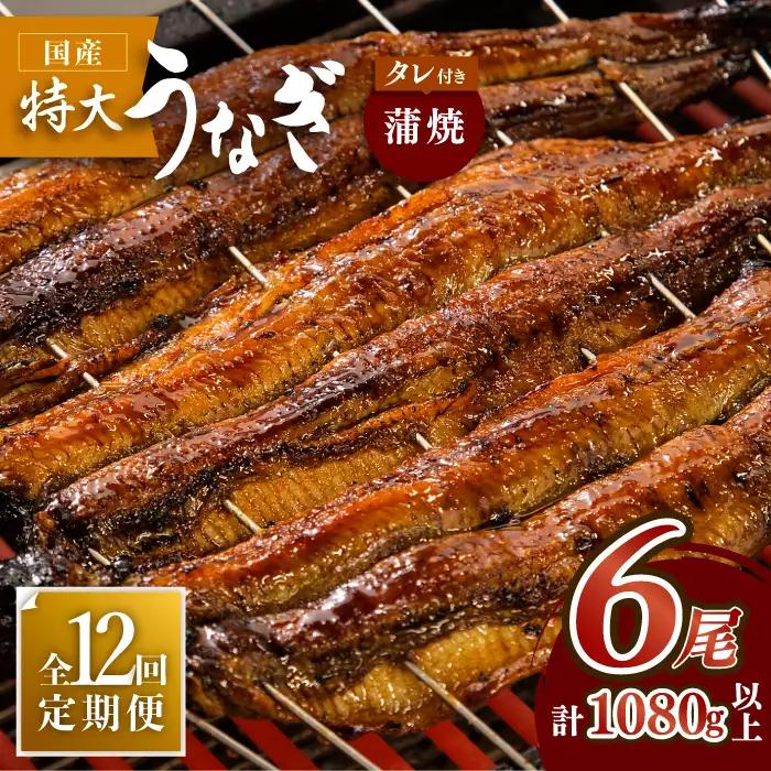 ふっくらジューシーのこだわりうなぎ【12回定期便】国産うなぎ蒲焼 6枚セット×12回[FAD016]
