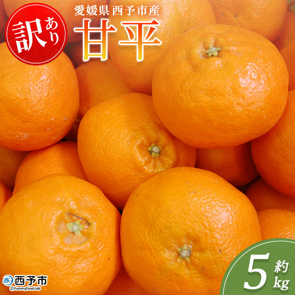 【ふるさと納税】＜訳あり 甘平 (サイズ混合) 約5kg＞蜜柑 ミカン みかん 果物 フルーツ 柑橘 かんぺい 果汁 ジューシー 果肉 国産 愛媛県産 西予市産 ご家庭用 自宅用 訳アリ 高級柑橘 特産品 丸二青果 愛媛県 西予市【常温】『2026年2月中旬～3月中旬頃に順次出荷予定』