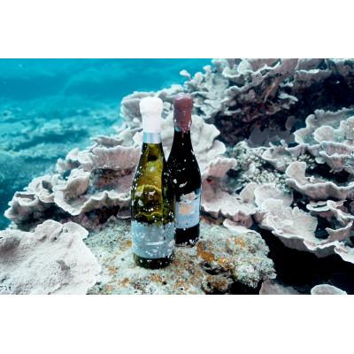 ふるさと納税 瀬戸内町 tlass SEA CELLAR 海底熟成白ワイン750ml×1本 |  | 02