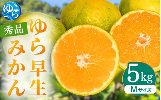 
                  ゆら早生みかん 秀品 Mサイズ 5kg 贈答用※2026年10月上旬～11月中旬頃に順次発送予定/ ゆら早生 柑橘 極早生 フルーツ 果物 くだもの 食品 人気 おすすめ 送料無料 由良町 【ksmt003-r-m-5】
                