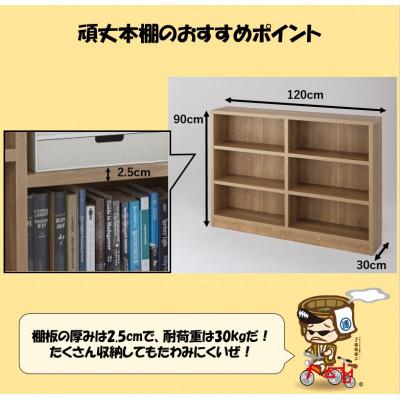 ふるさと納税 あわら市 頑丈本棚 幅120cm ブラウン(ロータイプ) |  | 02