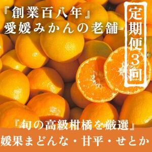 【発送月固定定期便】旬の高級柑橘をお届け。柑橘定期便【新口農園厳選】【G70-42】全3回【4055160】