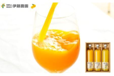 伊藤農園 100％ピュアジュース大瓶750ml×3本セット(B483-1)