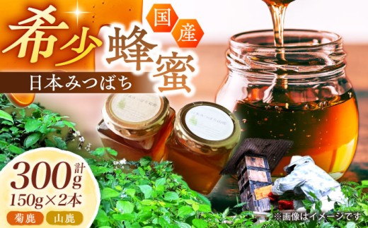 日本みつばち菊鹿・山鹿 計2本セット 【山麓はっち】 [ZBM005] 蜂蜜 はちみつ ハチミツ 熊本県 特産品 常温 保存 備蓄 防災食 非常食