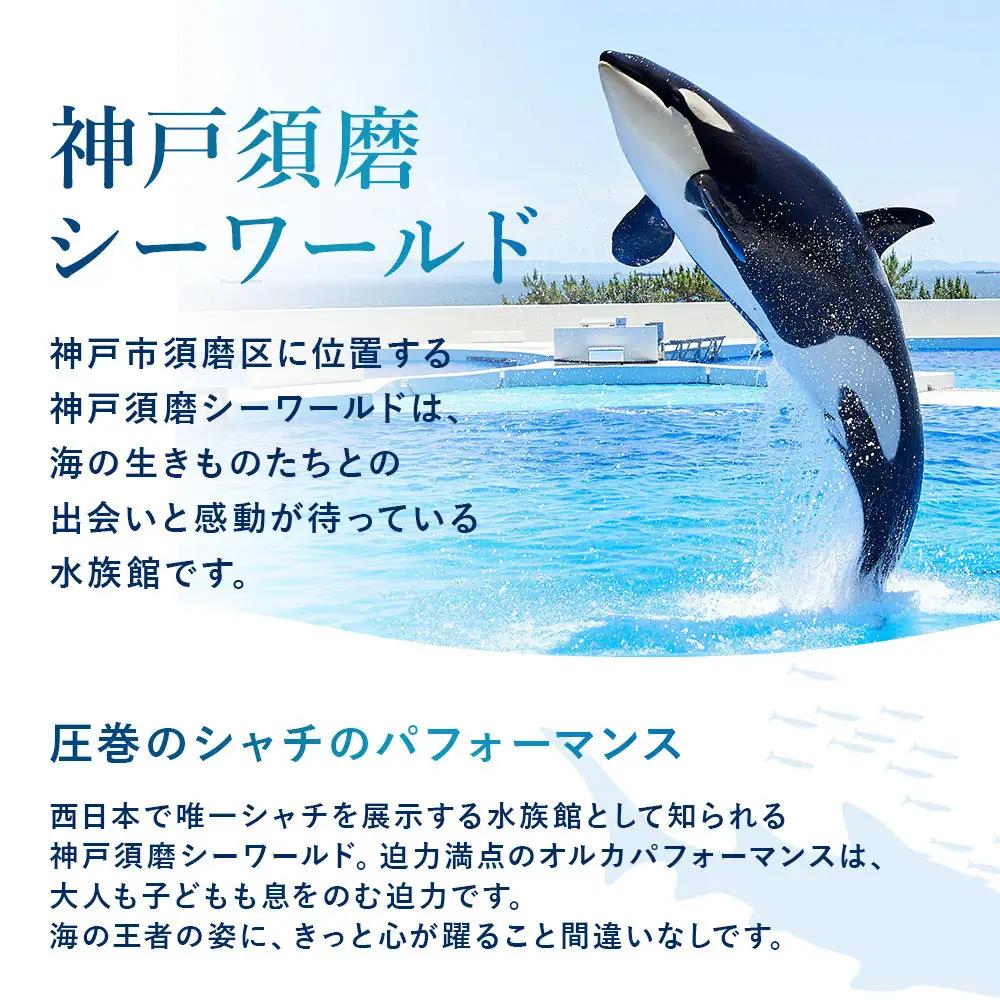 神戸須磨シーワールド入館券　3枚セット（有効期限：2026年4月1日～9月30日）