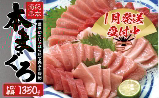 本マグロ トロ＆赤身セット1350g（養殖）【8月発送】【配達指定日不可】濃厚な赤身と高級部位トロの鮪好きにはたまらないセット 【串本町×北山村】 高級 クロマグロ【nks111-8】