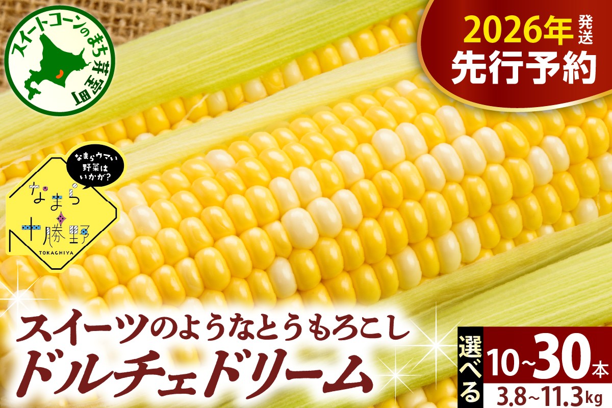 
            【先行受付】【2026年7月下旬～8月15日頃配送】北海道十勝芽室町 なまら十勝野　ドルチェドリーム(選べる本数 : 10本 20本 30本 ) me001-043-o
          