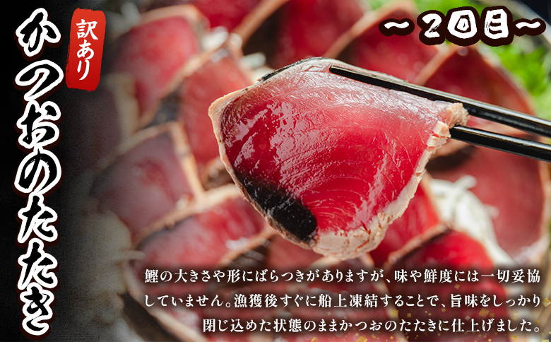 【6回定期便】マグロ かつおお楽しみ定期便 - 訳あり マグロ 鮪 カツオ 鰹 漬けマグロ たたき ネギトロ 配送回数 定期便 小分け 海鮮 魚介 冷凍食品 加工品 海鮮丼 刺身 株式会社大熊 高知県