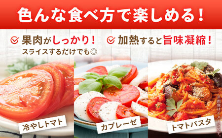 【2026年7月中旬以降順次発送】 トマト 4kg | 野菜 トマト とまと やさい 北海道 産地直送 | 道の駅 真狩フラワーセンター[BPAM078]