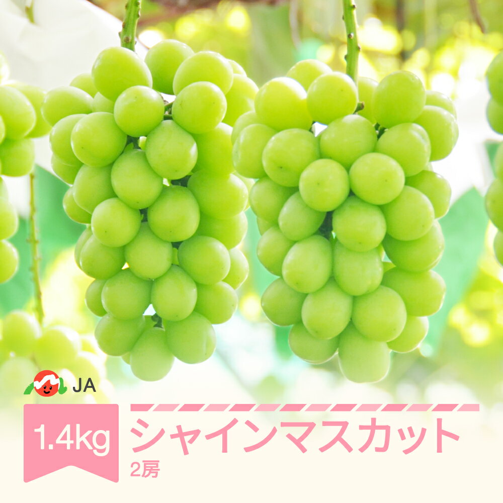 【ふるさと納税】【先行予約】 ぶどう ブドウ シャインマスカット 令和8年産 2026年産 約1.4kg 果物 送料無料