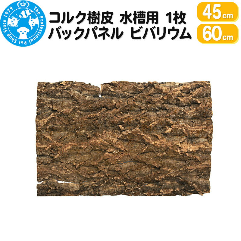 【ふるさと納税】コルク樹皮 (選べるサイズ｜45cm・60cm)1枚 水槽用 バックパネル ビバリウム