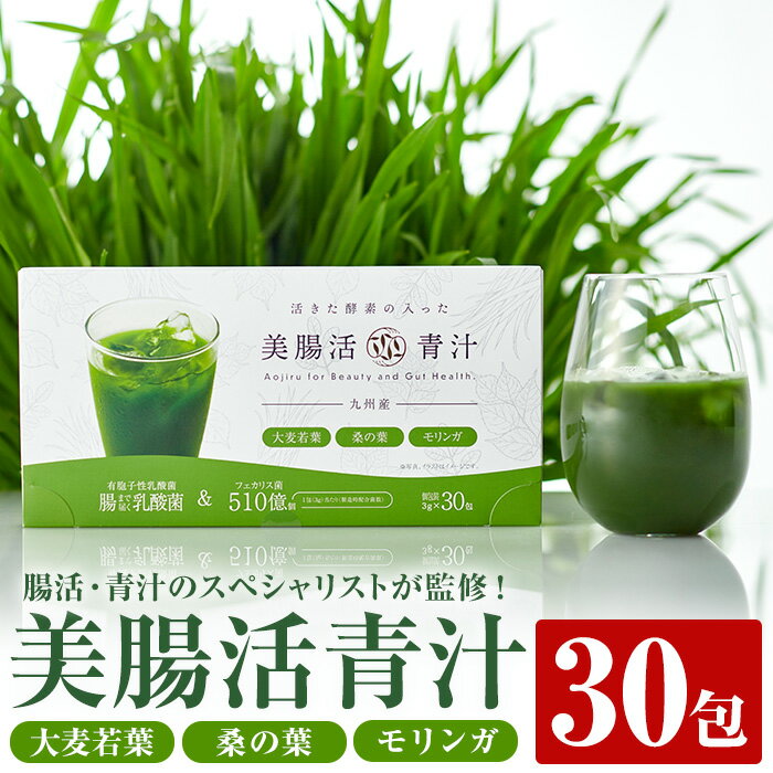 【ふるさと納税】美腸活青汁 (3g×30包) 国産 大麦若葉 桑 桑の葉 モリンガ 青汁 スムージー 乳酸菌 腸活 【チョイスジャパン株式会社】