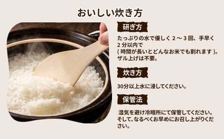 【先行予約】令和6年産 茨城県産 ミルキークイーン 精米10kg(5kg×2) ※離島への配送不可 ※2024年10月上旬頃より順次発送予定