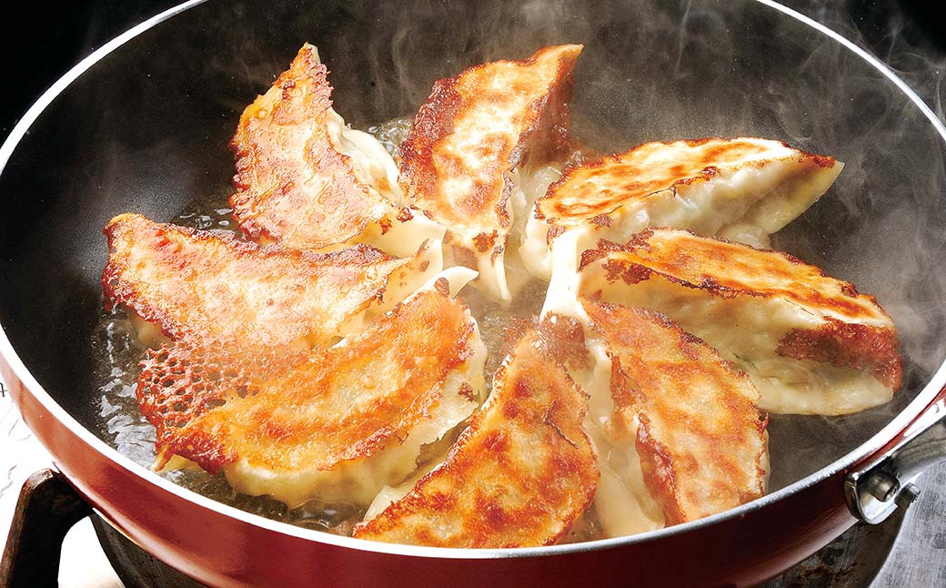 餃子の王国 生餃子 6種 111個 黒豚 しそ えび にんにく にら どでかドン 餃子 