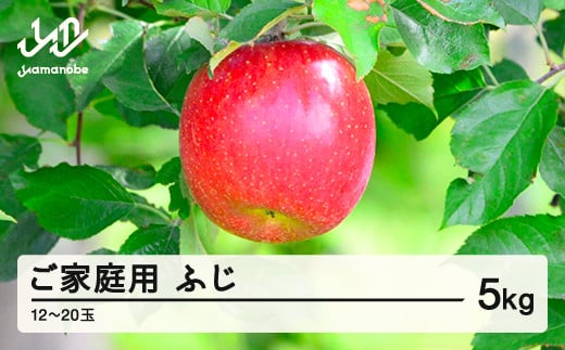 《先行予約》2025年 山形県産  ふじ りんご ご家庭用 5kg（12玉~20玉程度） ※沖縄・離島への配送不可 sa-risfk5