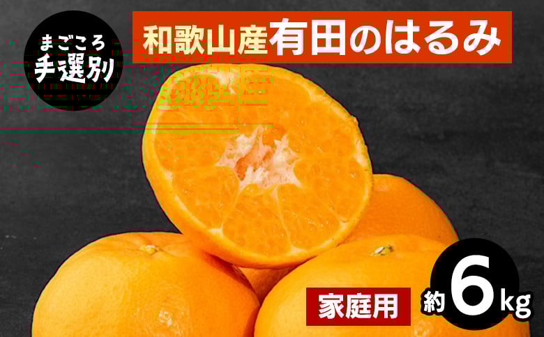 
            【まごころ手選別】和歌山産有田のはるみ　約6kg(家庭用) ※2026年1月下旬～2月下旬頃より順次発送予定
          