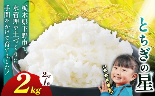 下野市産 とちぎの星 米 2kg | こめ コメ 白米 精米 とちぎの星 ﾄﾁｷﾞﾉﾎｼ 栃木米 令和7年度米 令和7年 2025年度 ブランド米 栃木県 特産品 送料無料 栃木県 下野市