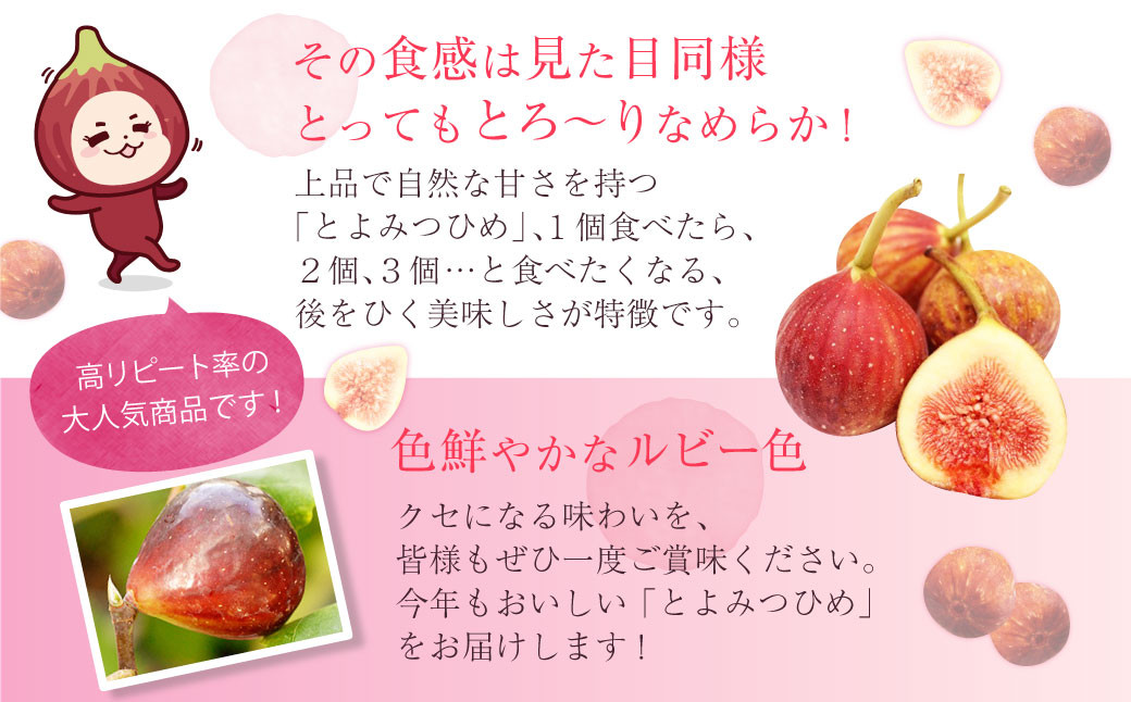 【2022年8月下旬発送開始】JAふくおか嘉穂 いちじく とよみつひめ 秀品  300ｇ(3～5玉)×4Ｐ 計1.2kg