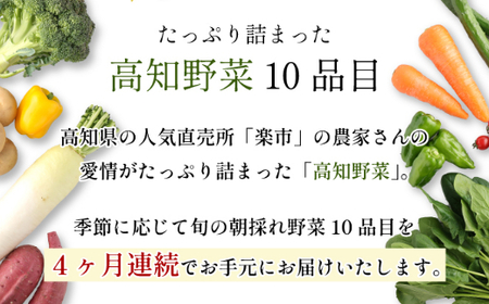 朝どれ野菜１０品目【４ヶ月連続定期便】～新型コロナ支援 _rk005