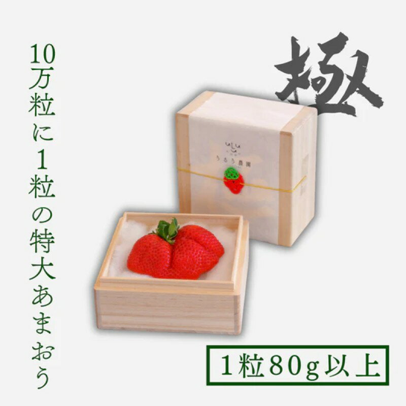 【ふるさと納税】いちご 特大 あまおう 苺 「極」 1粒80g以上 果物　お届け：～2026年3月30日まで