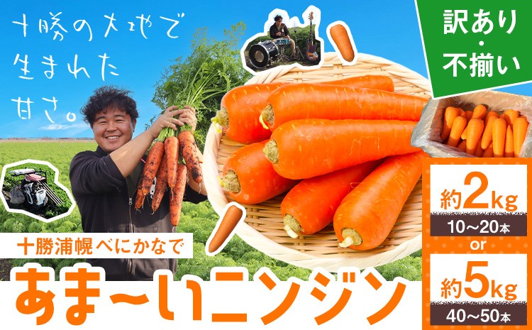 
                  甘～いニンジン 十勝 浦幌べにかなで 【訳あり・不揃い】 約2kg 10～20本 or 約5kg 40～50本 農事組合法人レギューム《11月上旬から4月末頃出荷》北海道 浦幌町 人参 にんじん 安心 安全 野菜 お野菜 やさい 紅奏 シャキシャキ 甘い 
                