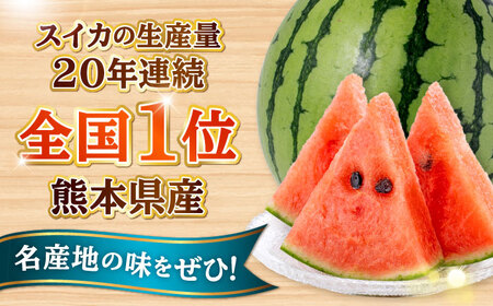 【先行予約】【数量限定】 肥後グリーン メロン 1玉(2kg) ＆ 小玉 すいか 1玉(2kg) ひとりじめ 計4kg【合同会社 福福堂】[AYAC016]