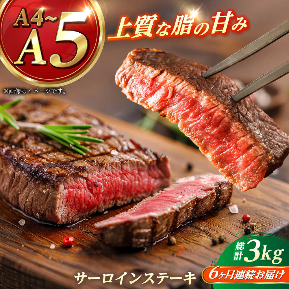 【ふるさと納税】【全6回定期便】 長崎和牛 サーロイン ステーキ 250g×2 【KRAZY MEAT】 A5 A4 冷凍 和牛 肉 牛肉 BBQ[RCQ012]