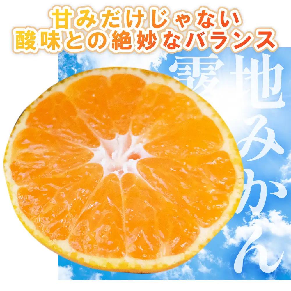 【特別栽培みかん】【2026年10月以降順次配送分】ふじ農園 贈答用 2.5kg 小玉 みかん fn-0009