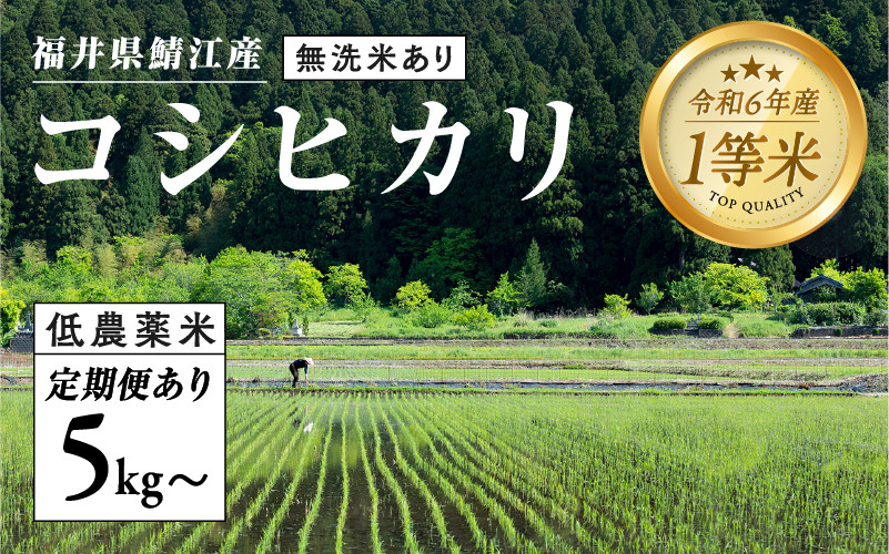 
            【令和6年産】福井県産 おしどり米 内農米コシヒカリ 5kg＋黒米300g ［C-00505］/内農米 10kg /定期便 3ヶ月/6ヶ月 5kg10kg / 無洗米 5kg/ こしひかり 有機栽培 白米 精米 ご飯 コメ ごはん ライス 産地直送 鯖江市
          