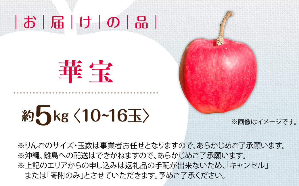 【先行予約】＜2026年10月上旬よりお届け＞北海道壮瞥町　りんご　品種名「華宝」10～16玉約5kg SBTF015