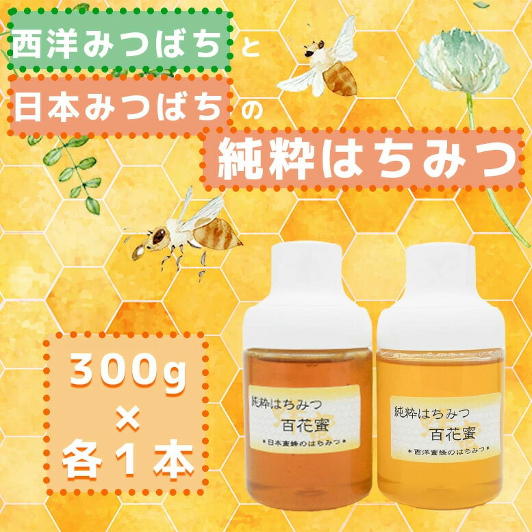 【ふるさと納税】_【2025年7月以降発送】日本蜜蜂の純粋はちみつ＊西洋蜜蜂のはちみつ　食べ比べセット　300g×各1（GD007)