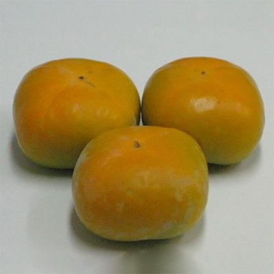 ふるさと納税 三豊市 たねなし柿(刀根柿)　約7.5kg |  | 01