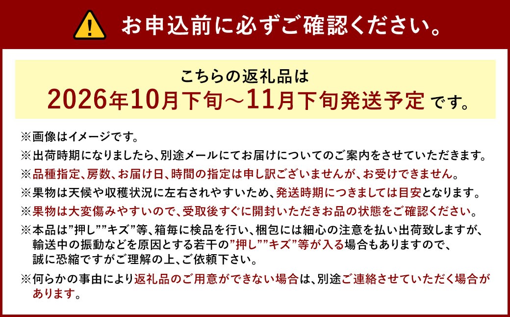 冬 ぶどう2026年 先行予約 紫苑 1房 700g以上