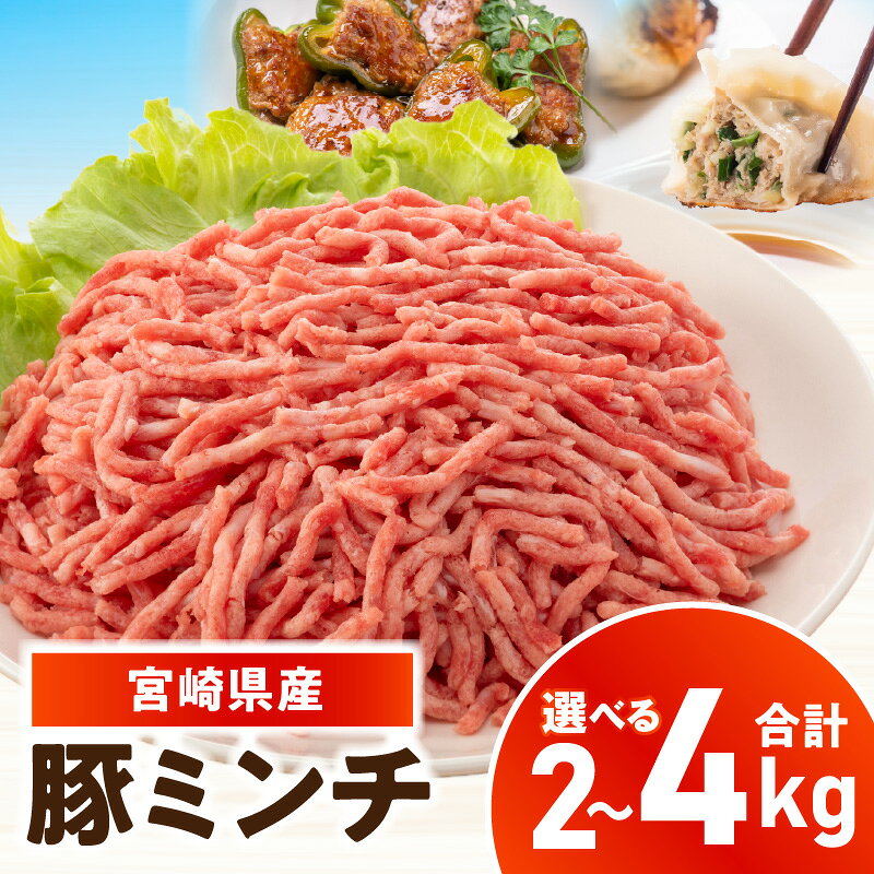 【ふるさと納税】【選べる内容量】宮崎県産豚ミンチ 2～4kg