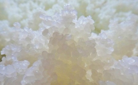 H4-04B壱醸 純米大吟醸 無濾過原酒21 720ml（長岡市旧栃尾地区棚田産越淡麗100%）【越銘醸】