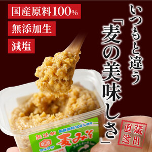 無添加生麦みそ 3kg 750g ×4パック 味噌 みそ 麦みそ 無添加 生 味噌汁 みそ汁 大豆 麦 スープ 調味料 減塩 甘口 糀 こうじ 田舎 国産 愛媛県 愛南町 マルマサ醤油