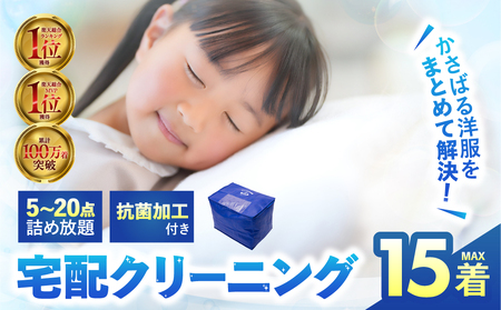 衣類 クリーニング 15点｜クリーニング