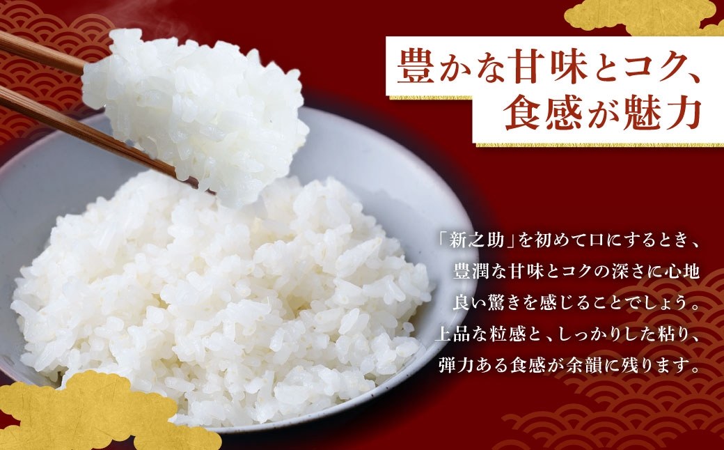 新潟県村上市岩船産 新之助6kg