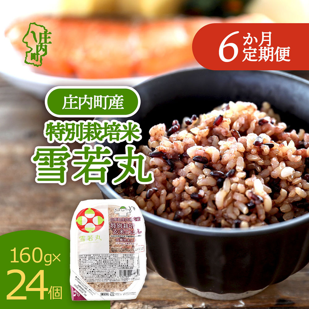 【定期便】雪若丸 玄米 パックごはん 160g×24個×6ヶ月 毎月お届け 有機黒米入り 山形県庄内町産 保存食 非常食 備蓄 防災 レンジで2分 レンチン 時短 簡単調理 ローリングストック【9月中旬発送】