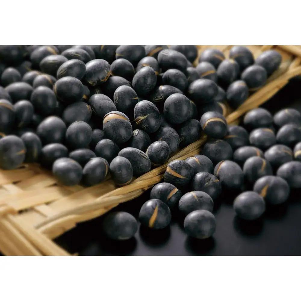 【北海道産黒大豆100%使用】黒豆茶500g 茶 _05751