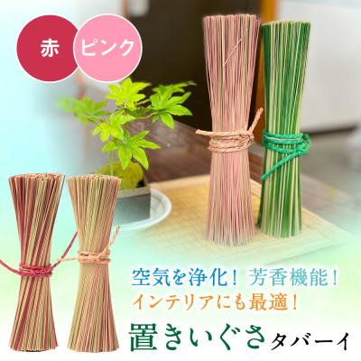 ふるさと納税 八代市 置きいぐさ(タバーイ)2本セット 赤×ピンク_024-4648-RP-B