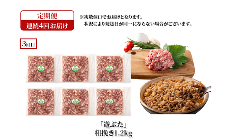 定期便 全4回 遊ぶた 堪能食べ比べセット 放牧豚 豚肉