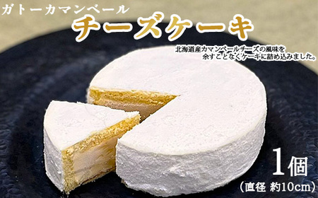 ガトーカマンベール チーズケーキ ケーキ