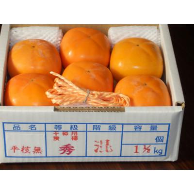 ふるさと納税 かつらぎ町 吊るし柿用 生渋柿 ひもセット約6〜12個、約1.5〜2kg入り【10月下旬〜11月上旬発送予定】