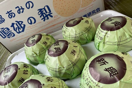 【先行予約／数量限定100】新興梨　5kg（2024年10月中旬～発送）