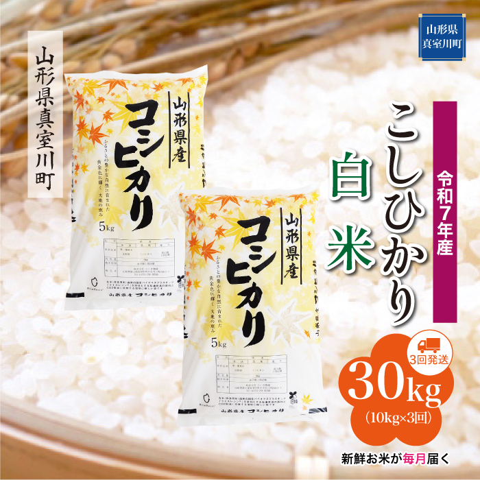 ＜令和7年産米＞ こしひかり 【白米】30kg定期便 (10kg×3回)　配送時期指定できます！ 山形県真室川町