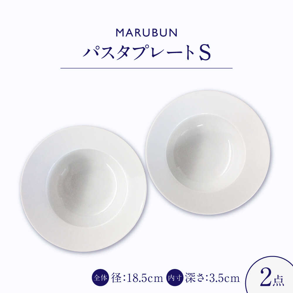 【ふるさと納税】【有田焼】おしゃれなパスタプレート2点 ゼフィール / 食器 有田焼 / 佐賀県 / 株式会社まるぶん[41APCD099]