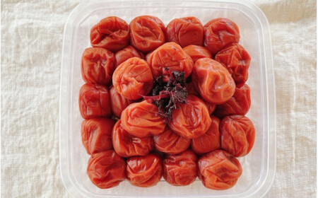 紀州南高梅　しそ梅（塩分13%）　500g  / 田辺市 紀州南高梅 南高梅 梅干し 梅干 梅  肉厚 お米 おにぎり 焼酎 梅酒 健康 【ske024】