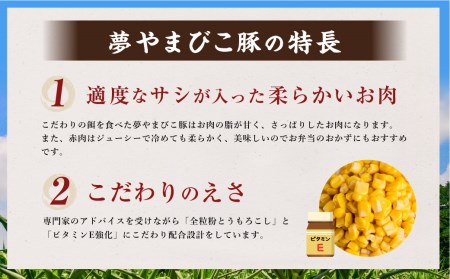 夢やまびこ豚 焼肉セット 1kg 5種類 (ロース・肩ロース・バラ・ヒレ・小間切れ)