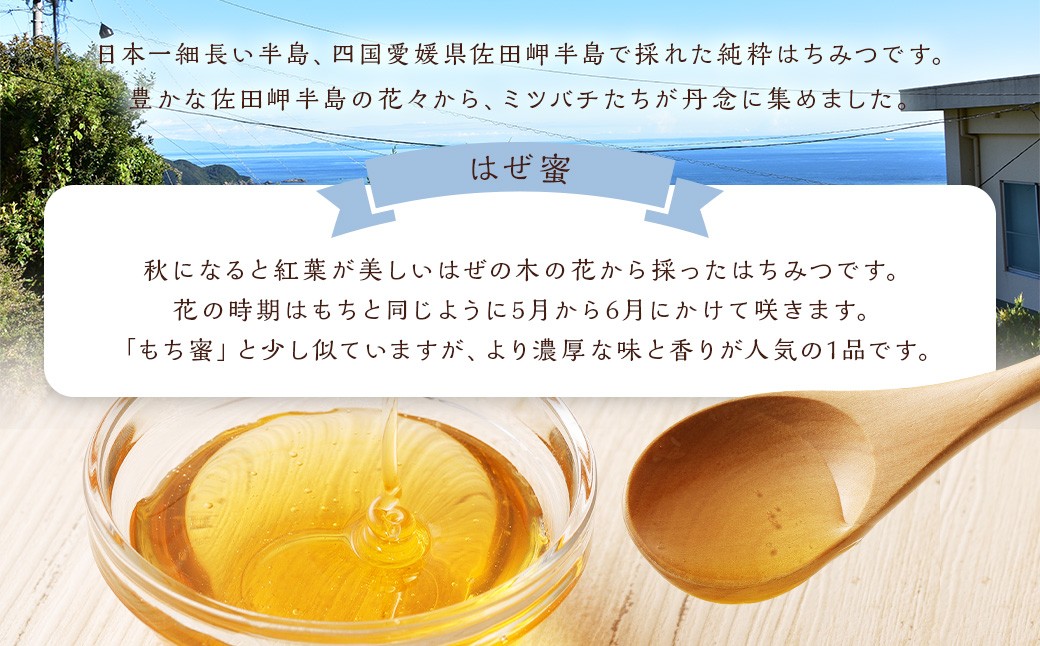 「岬のしずく」佐田岬半島産 純粋蜂蜜 はぜ蜜 1kg 3本 セット 合計約3kg はちみつ ハチミツ 蜜 国産 常温（322）